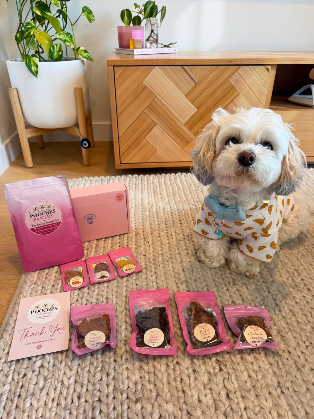 Small fluffy dog in a bow tie sitting beside the full Pooches Pantry single protein treat range laid out on a rug