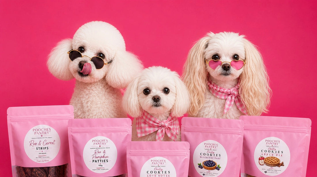 Three white dogs in sunglasses and scarves behind a lineup of Pooches Pantry treat and cookie bags on a hot pink backdrop