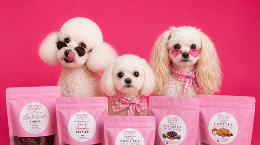 Three white dogs in sunglasses and scarves behind a lineup of Pooches Pantry treat and cookie bags on a hot pink backdrop