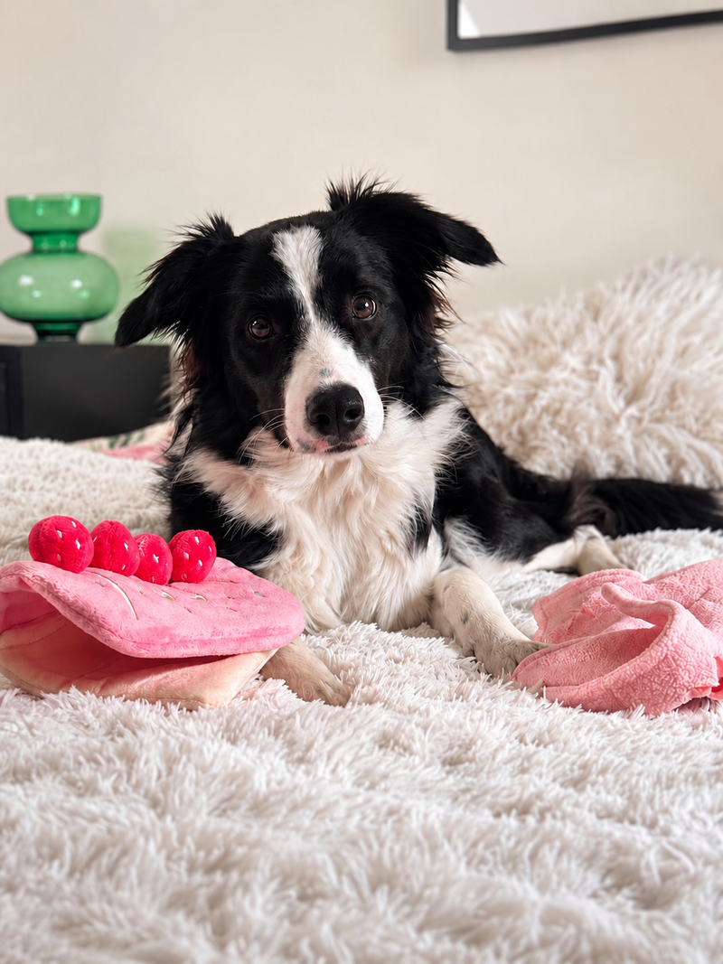 Strawberry Roll Cake Snuffle Toy