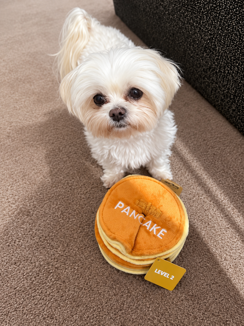Piglet the Maltese sitting proudly beside the Pancake Stack snuffle toy
