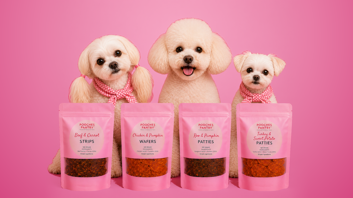 Ellie in pigtails, Alfie and Piglet in gingham scarves sitting behind the four Pooches Pantry treat bags on a soft pink gradient studio backdrop
