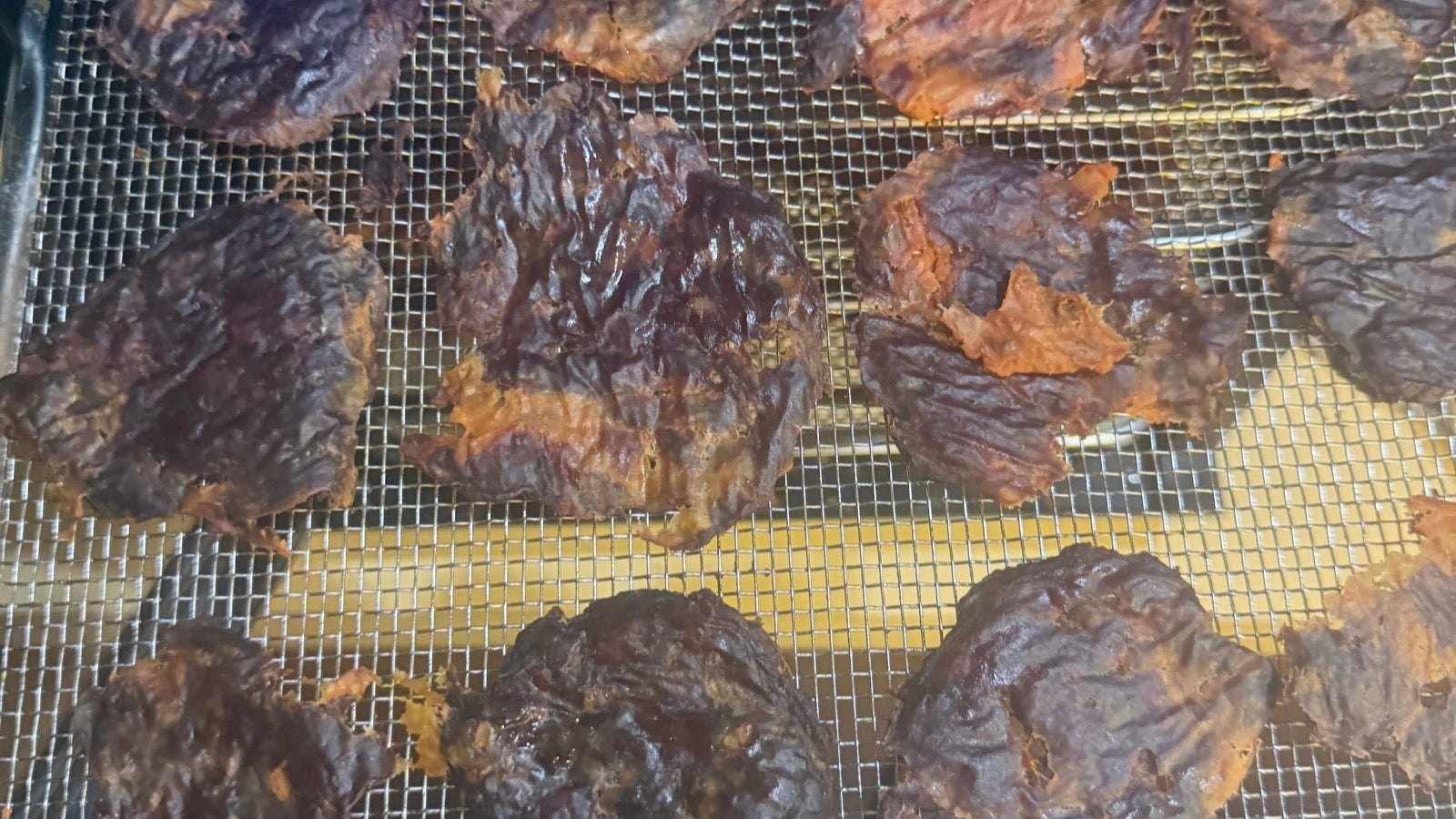 Hand-formed roo patties, hours into a slow dehydrate